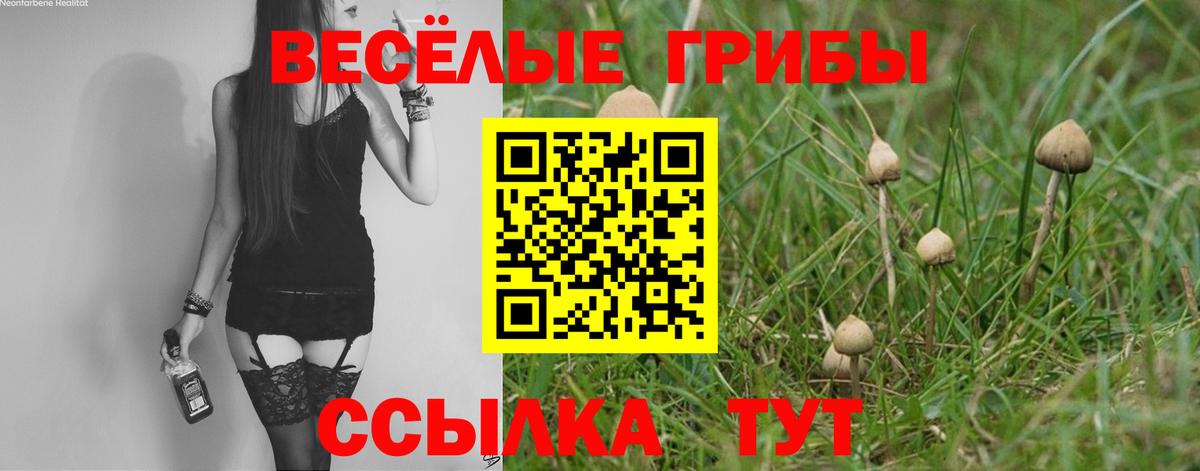 Псилоцибиновые грибы Psilocybine cubensis  Псилоцибиновые грибы мухоморы  Вход с VPN  Красноуфимск 